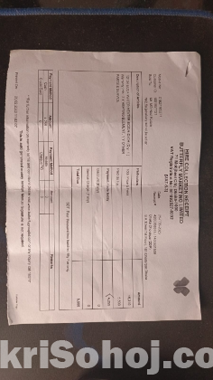 ইকো প্লাস গিজার